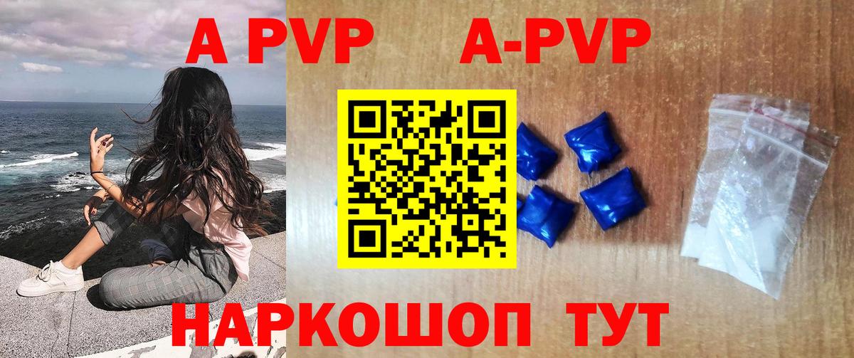 Alfa_PVP СК Гатчина