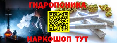 СК Балахна
