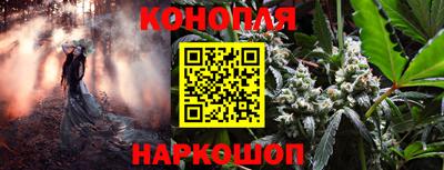 гашик Балаково