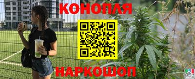 гашик Балаково