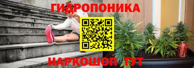 гашик Балаково